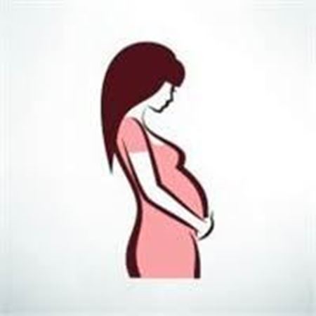 Picture for category Pregnancy